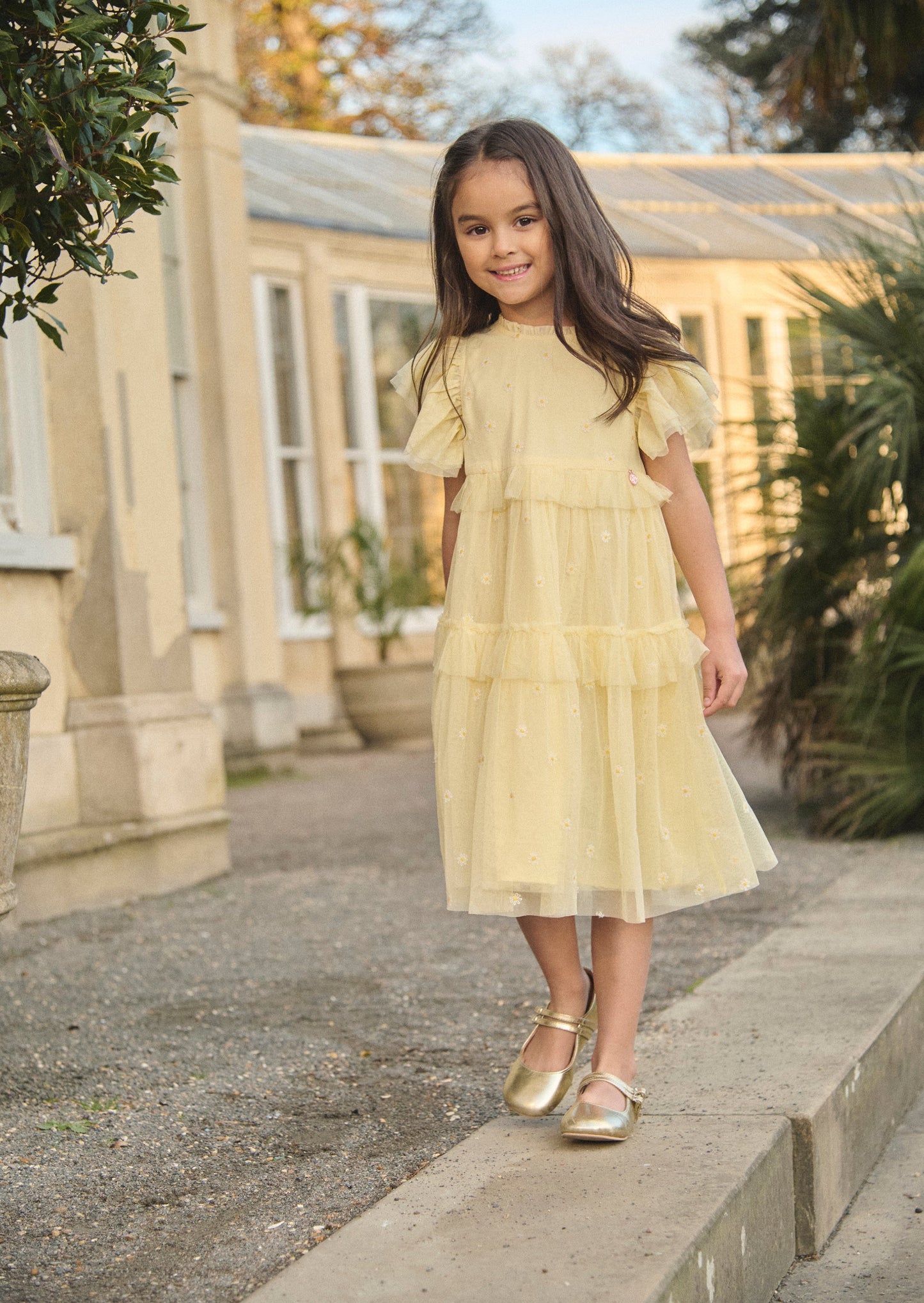 Girls Yellow Embroidered Mesh Party Dress | Angel & Rocket