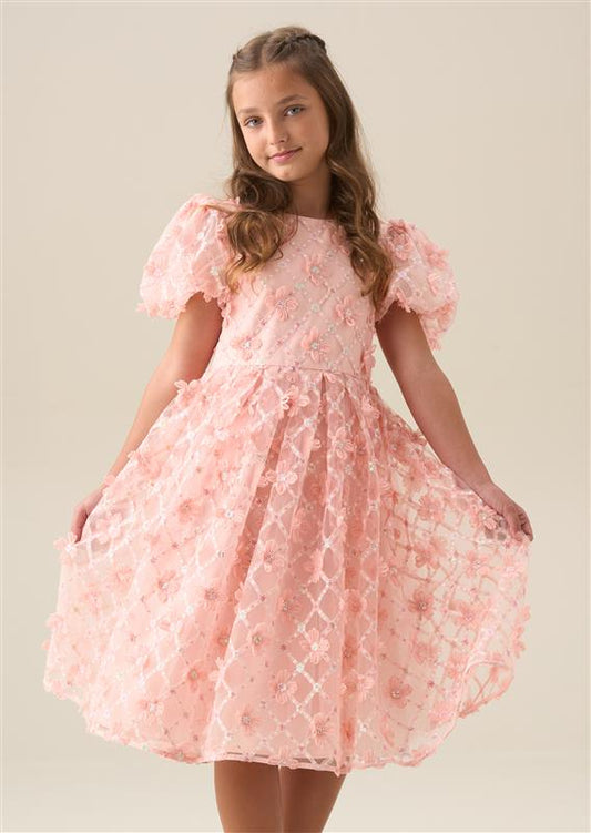 Girls Pink Embroidered Occasion Dress | Angel & Rocket