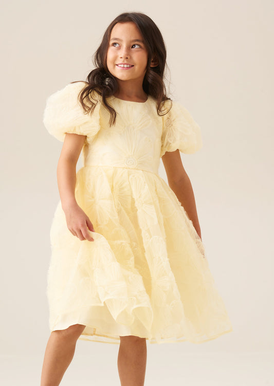 Girls Yellow Embroidered Occasion Dress | Angel & Rocket