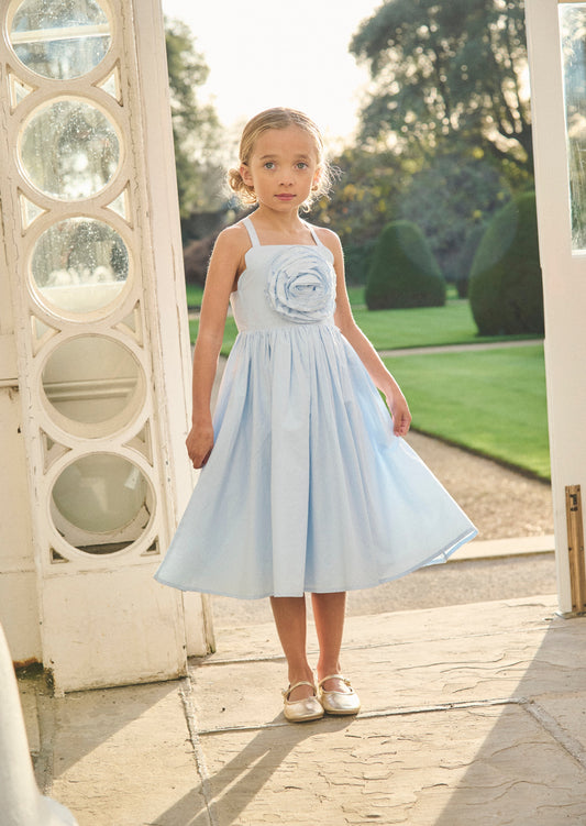 Girls Pastel Blue Corsage Party Dress | Angel & Rocket
