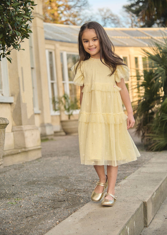 Girls Yellow Embroidered Mesh Party Dress | Angel & Rocket